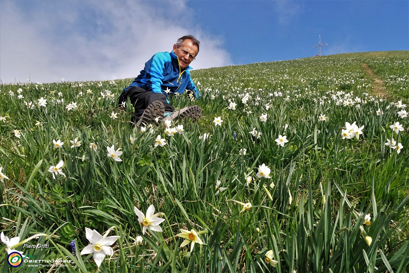 04 Distese di di narcisi tra la chiesetta e la cima del Linzone.JPG -                                